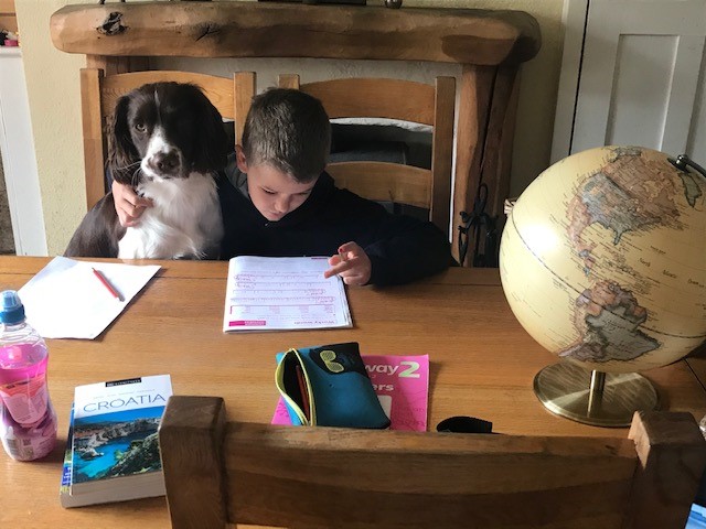 A boy and his dog - remote learning