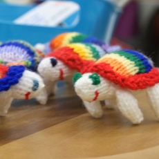 Rainbow Tortoises Harriet t
