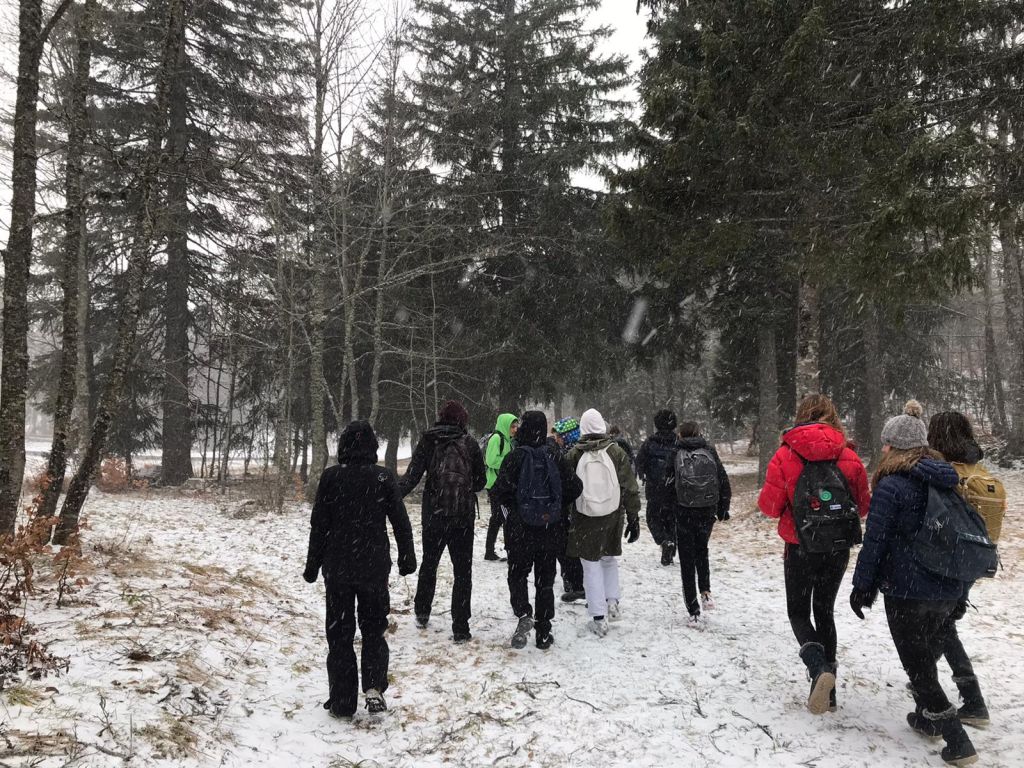 Walking in the snow
