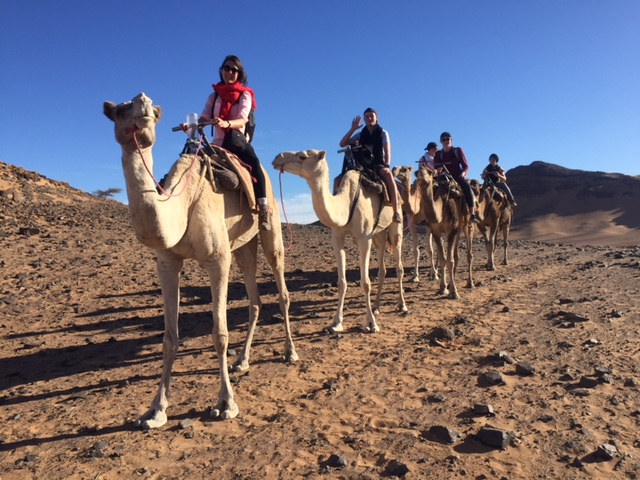 Riding camels