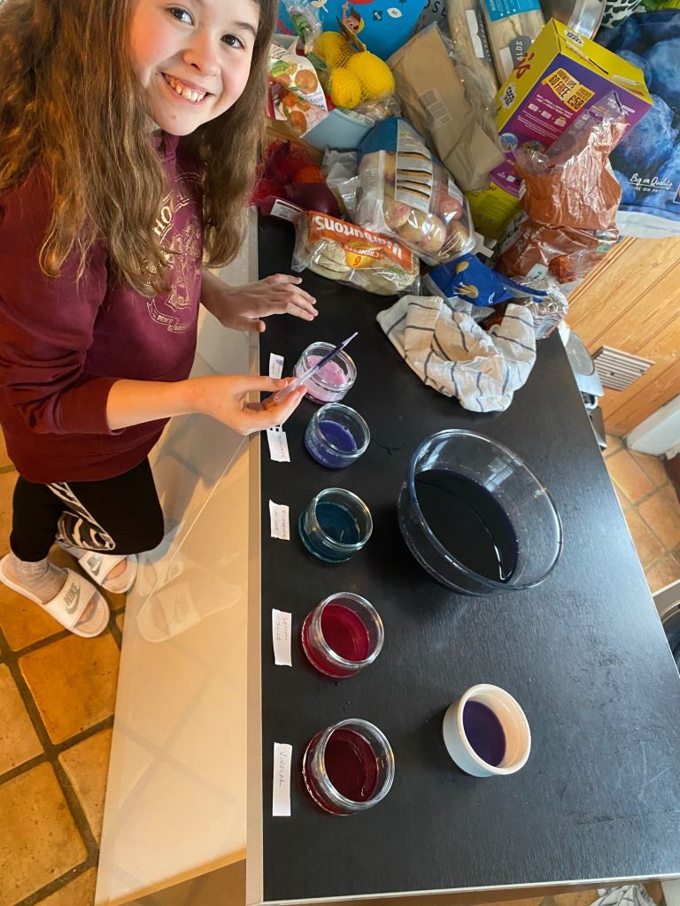 Flora making red cabbage pH indicator